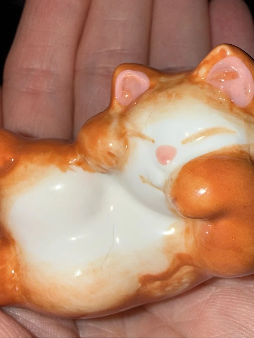 N/A orange tabby